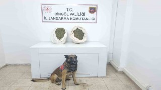 Bingölde jandarma ekipleri 10 kiloya yakın esrar ele geçirdi