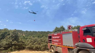 Bingölde orman yangını: Havadan karadan müdahale sürüyor