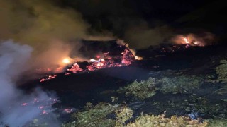 Bitliste çıkan yangında ot yığınları kül oldu