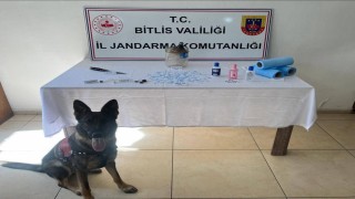 Bitliste jandarmadan uyuşturucu operasyonu