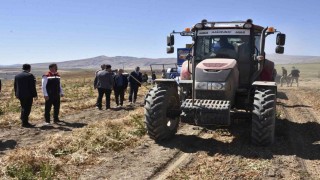 Bitliste kuru fasulye hasadında rekor: 37 bin ton üretim