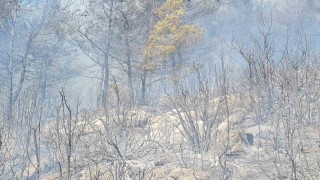 Bodrum orman yangınına yoğun müdahale