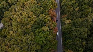 Bolu-Seben yolunda muhteşem sonbahar güzelliği
