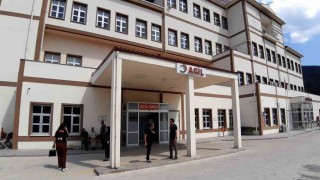 Boluda ayı saldırısında 1 kişi yaralandı: Saldırı sonrası av kararı