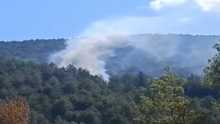 Boluda çıkan orman yangını kısa sürede söndürüldü