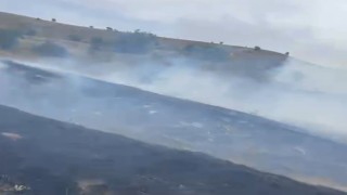 Boluda kırsal alanda çıkan yangın ormana sıçramadan söndürüldü