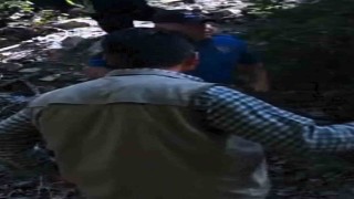 Boz ayı avlayan iki avcı fotokapana yakalandı