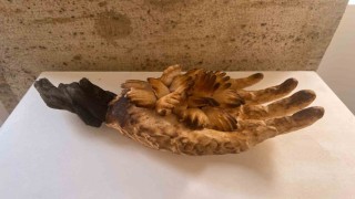 BŞEÜden uluslararası yarışmada büyük başarı