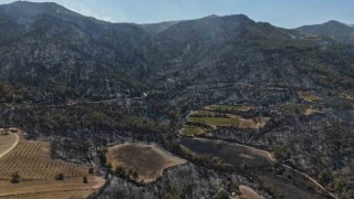 Buldanda zorlu şartları yangına müdahaleyi güçleştiriyor