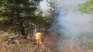 Buldandaki orman yangınına havadan müdahale başladı