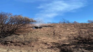 Buldandaki yangın bölgesinde kökler yanmaya devam ediyor