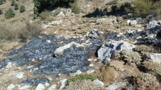 Burdurda çalılık alanda yangın