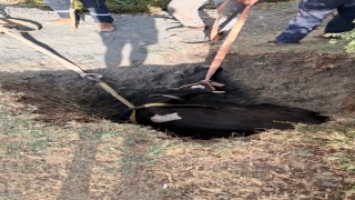 Burdurda kuyuya düşen inek 2 saatlik çalışmayla kurtarıldı