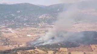 Burdurda tarlada çıkan yangın ormanlık alana sıçradı