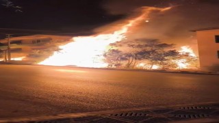 Bursada alev alan ağaçlar villaları böyle tehdit etti