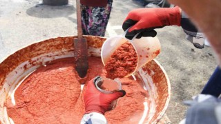 Bursada ev yapımı salça seferberliği