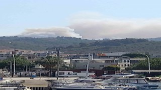 Bursada orman yangını