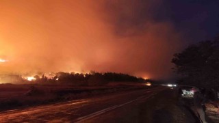 Bursada orman yangını...Rüzgarın etkisiyle büyüdü
