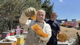 Bursada üretilen bu bal her derde deva