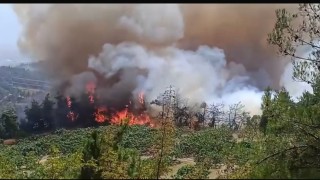 Bursadaki orman yangını büyüyor