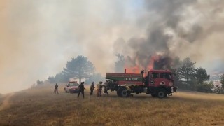 Bursadaki orman yangını kontrol altına alındı