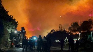 Bursadaki orman yangını kontrol altına alındı