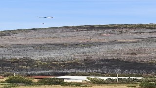 Bursadaki orman yangını söndürüldü