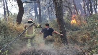 Büyükşehirden Gündoğdu yangını seferberliği