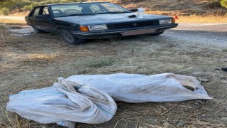 Çam fıstığı hırsızları jandarmaya yakalandı