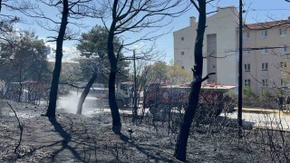 Çanakkalede çıkan orman yangını kontrol altına alındı, okullar ve pansiyonlar ucuz kurtuldu