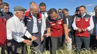 Çanakkalede damla sulamayla yetiştirilen çeltiklerde hasat zamanı