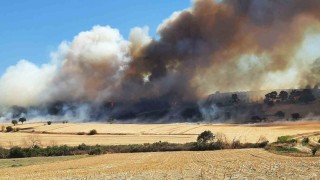 Çanakkalede orman yangını