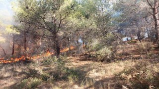 Çanakkalede ormanlık alanda çıkan yangın kontrol altına alındı