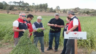 Çanakkalede susam üretiminin arttırılması için kollar sıvandı, makineli üretim devreye girdi