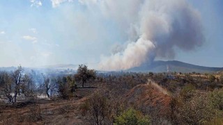 Çanakkalede tarım arazisinde başlayan yangın ormanlık alana sıçradı