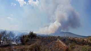 Çanakkalede tarım arazisinde yangın