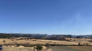 Çanakkaledeki orman yangını kontrol altına alındı