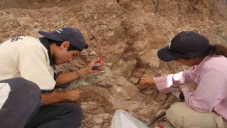 Çankırıdaki kazılarla 9 milyon yıl öncesine ait fosiller gün yüzüne çıkartılıyor