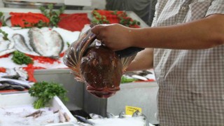 Çarşambada tezgahlar şenlendi