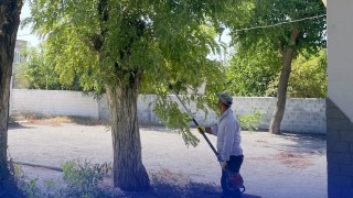 Çinede okul bahçeleri yeni döneme hazır