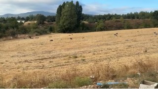 Çocuklar artık okula gidemez oldular