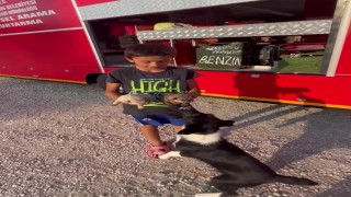 Çocuklar ihbar etti, atık su borusuna sıkışan yavru köpekler kurtarıldı