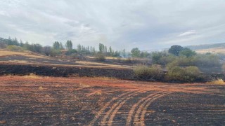 Çorumda arazi yangını: 50 dönüm tarla ve 15 dönüm ağaçlık alan zarar gördü