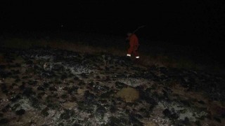 Çorumda arazi yangının ormana sıçramasını ekipler önledi