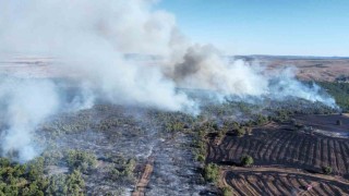 Çorumda tarım arazisindeki yangın ormanlık alana sıçradı