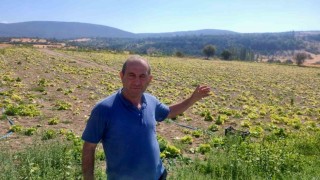 Çukurca Göleti sulama sistemindeki arızalar çiftçileri zor durumda bıraktı