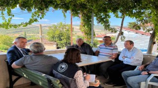 Çukurören biberine yakın ilgi