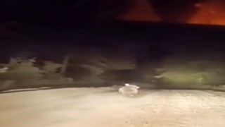 Dağ yolunda sürücüyle karşılaşan ayının panik anları