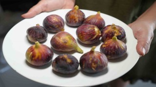 Daha sağlıklı yaşamak için inciri kabuğu ile yiyin