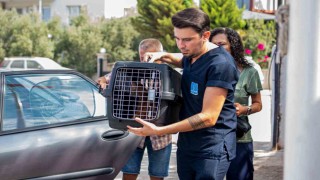 Davutlar Mahallesine Kedi Kısırlaştırma Merkezi açıldı